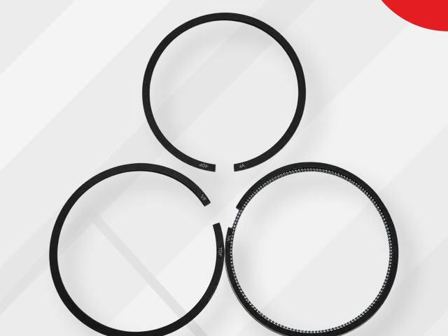 Kit de 3 segments Sonalika Ø 100 mm, réf. 203403060AFG, Valmy France
